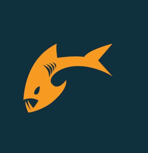 Payara