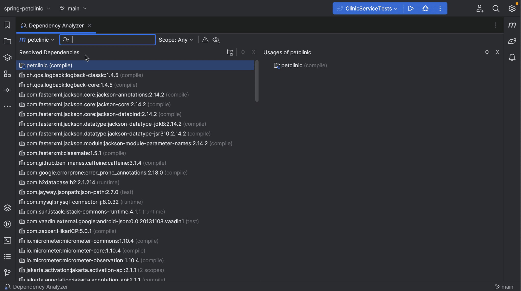 Dependency Analyzer