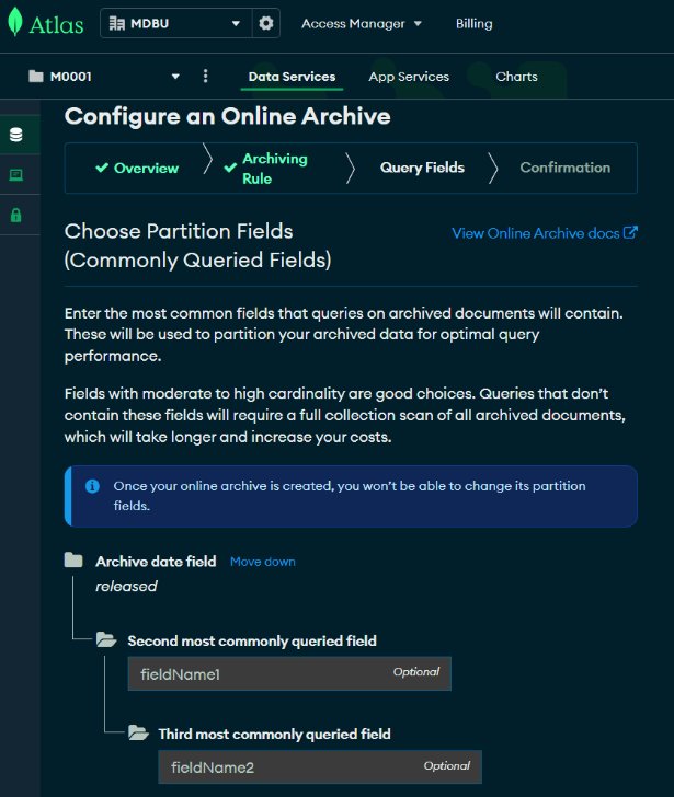 Configure online archive – partition query fields