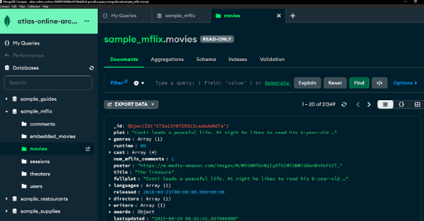 Archived cluster data – both your cluster and archived data access by using this instance/connection string