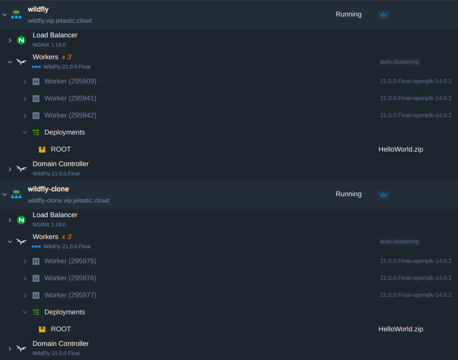 running wildfly environment