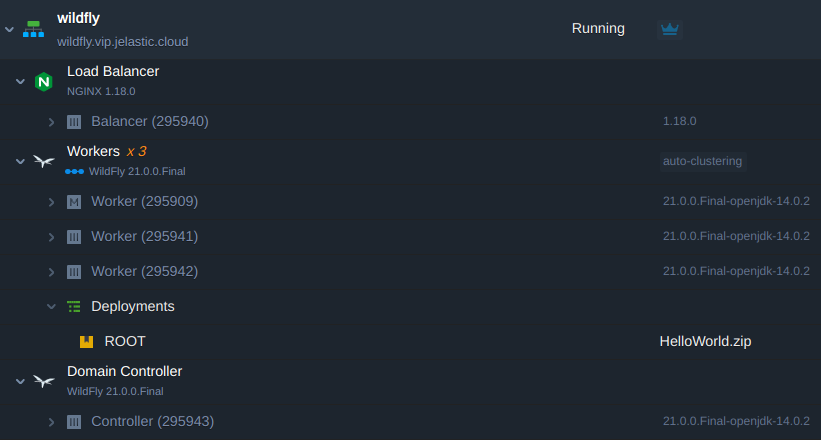wildfly environment running