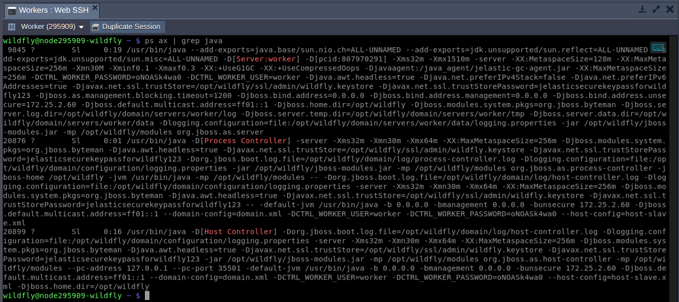 web ssh wildfly node