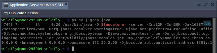 web ssh client