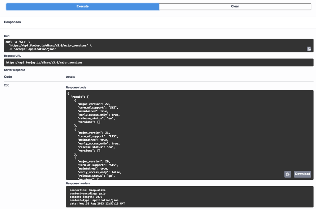 Swagger result with all major versions