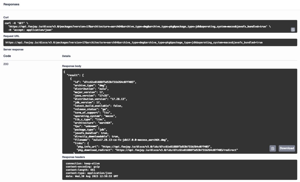 Swagger result of package search