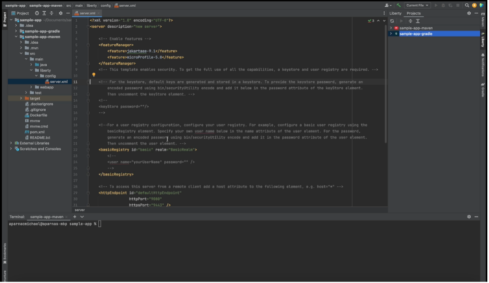 Screenshot of the Liberty Tools plugin in IntelliJ IDEA