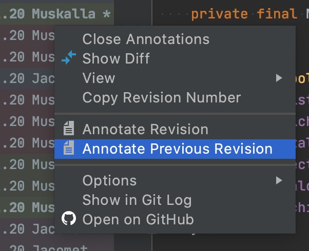 IntelliJ Annotate Previous Commit