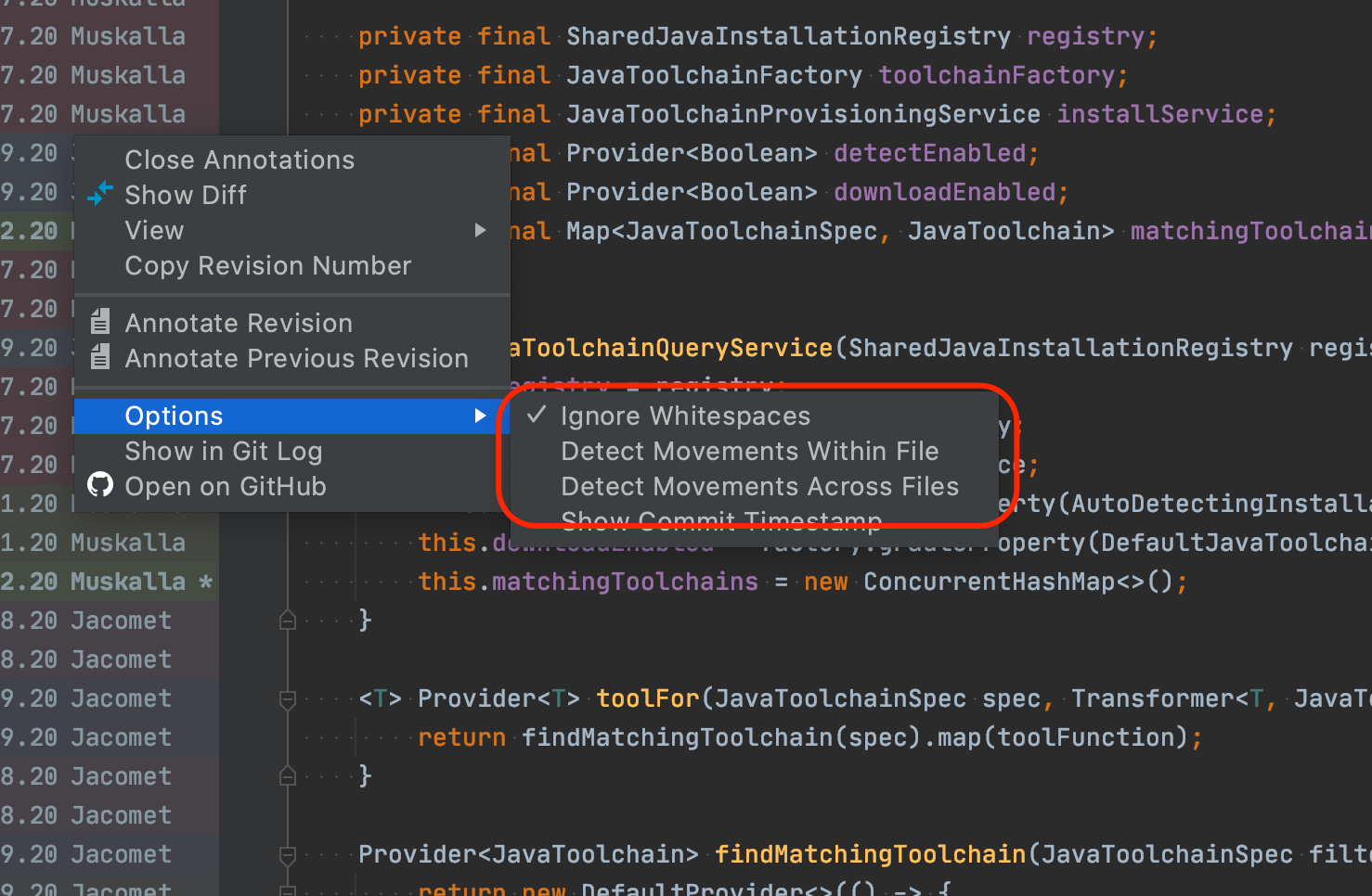 IntelliJ VCS Annotation Options