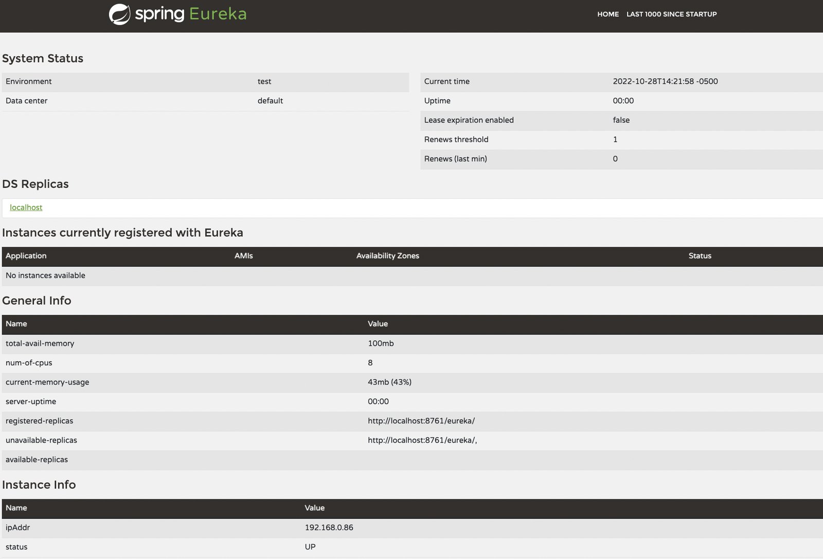 Test Eureka server