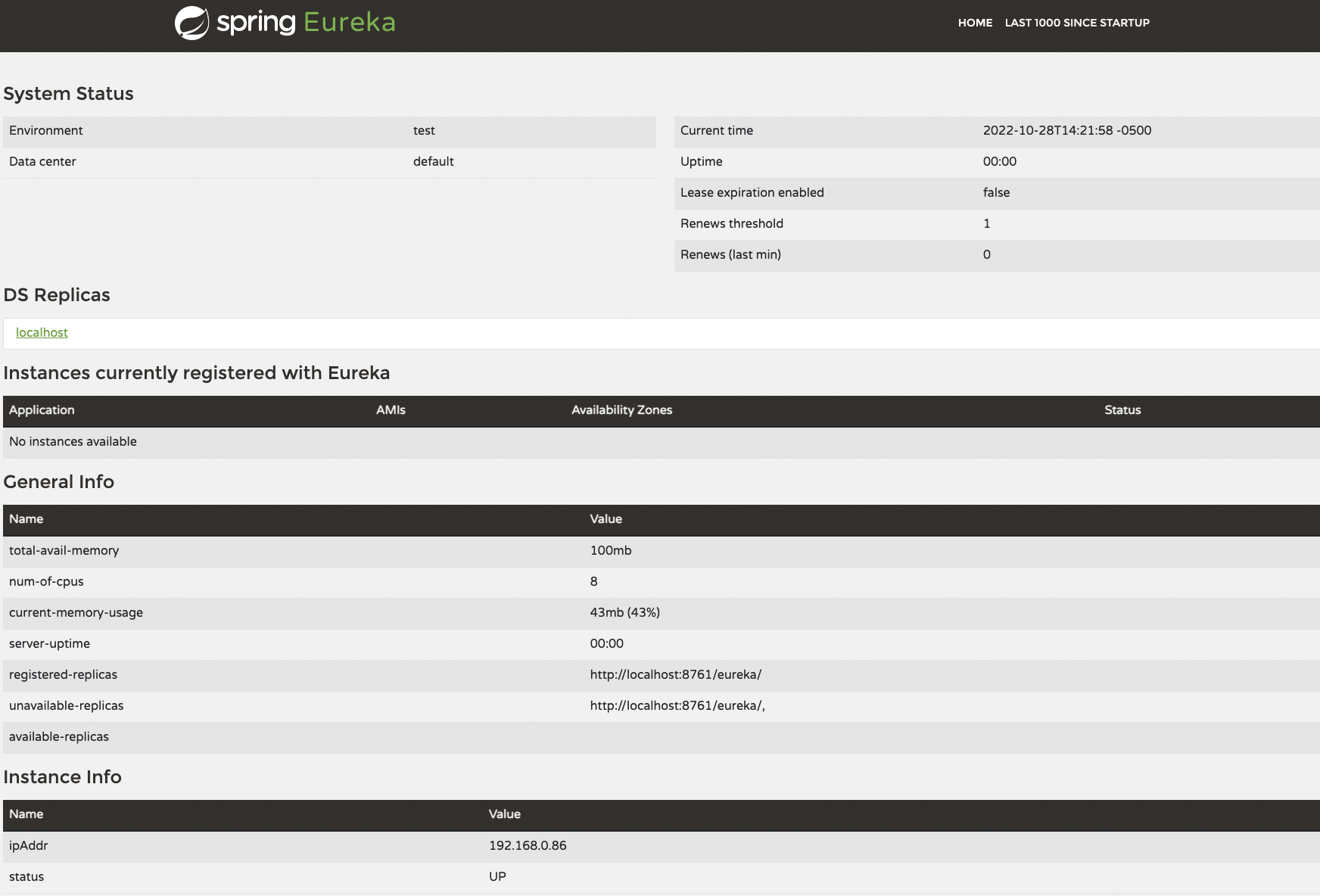 Test Eureka server
