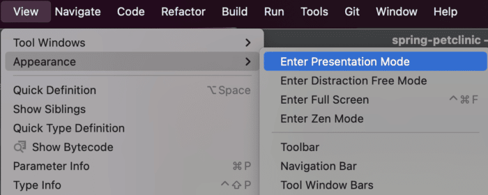 Enter Presentation Mode using the menu in IntelliJ IDEA