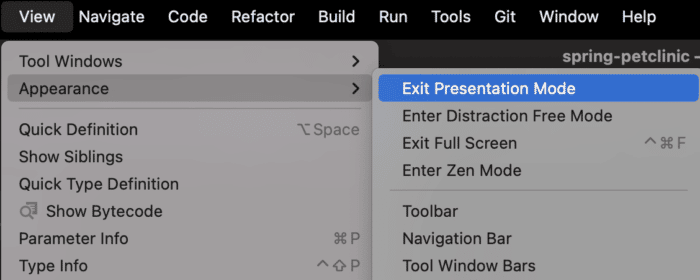Exit Presentation Mode using the menu in IntelliJ IDEA