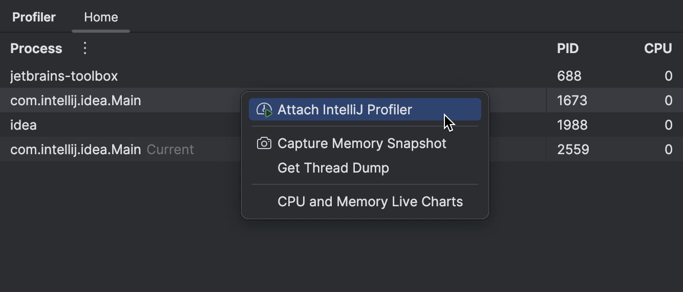 Clicking on the process in the ‘Profiler’ tool window reveals a menu with the ‘Attach IntelliJ Profiler’ option