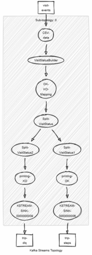 Topology Kafka Stream Viz