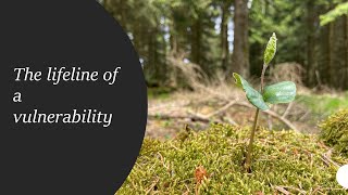 The lifeline of a vulnerability - 4k
